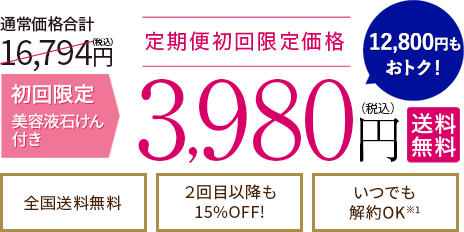  初回限定65%OFF 定期便初回限定価格3980円